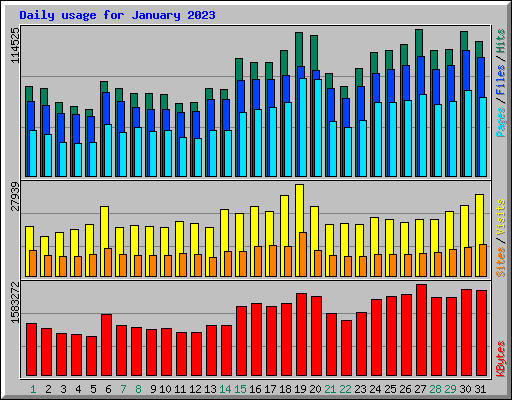 Daily usage for January 2023