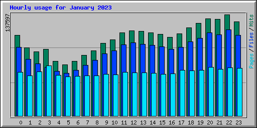 Hourly usage for January 2023
